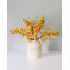 Cream Cymbidium Orchid 33"-1398070698