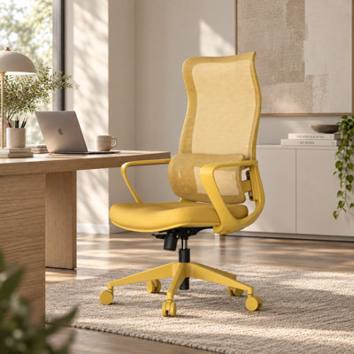 Anthony Ergonomic Mesh Office Chair with Adjustable Lumbar Support & High Back Design