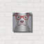 «Pitbull portant des lunettes de hipster» par les affiliés Furbaby-2027580268