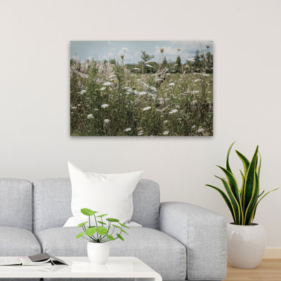 Maison de campagne / jardin et jardin baigné de soleil III