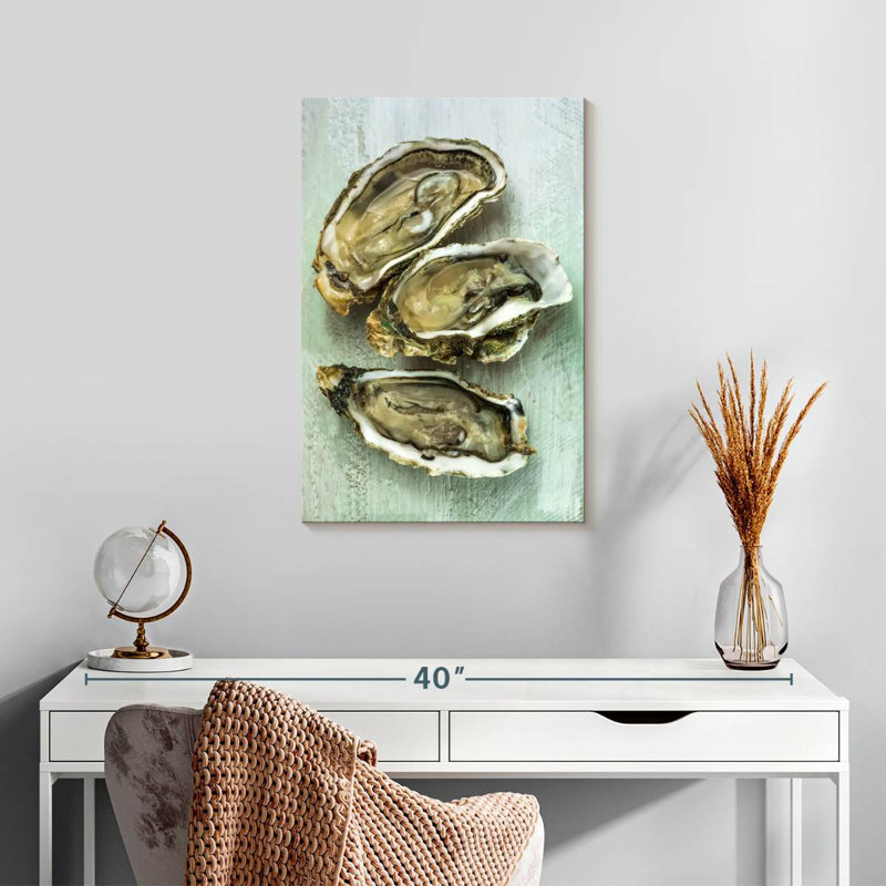 Brampt Oyster Shell, 24" H x 16" W