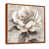 Brown Floater Framed