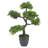 49cm Faux Bonsai Plant in Planter