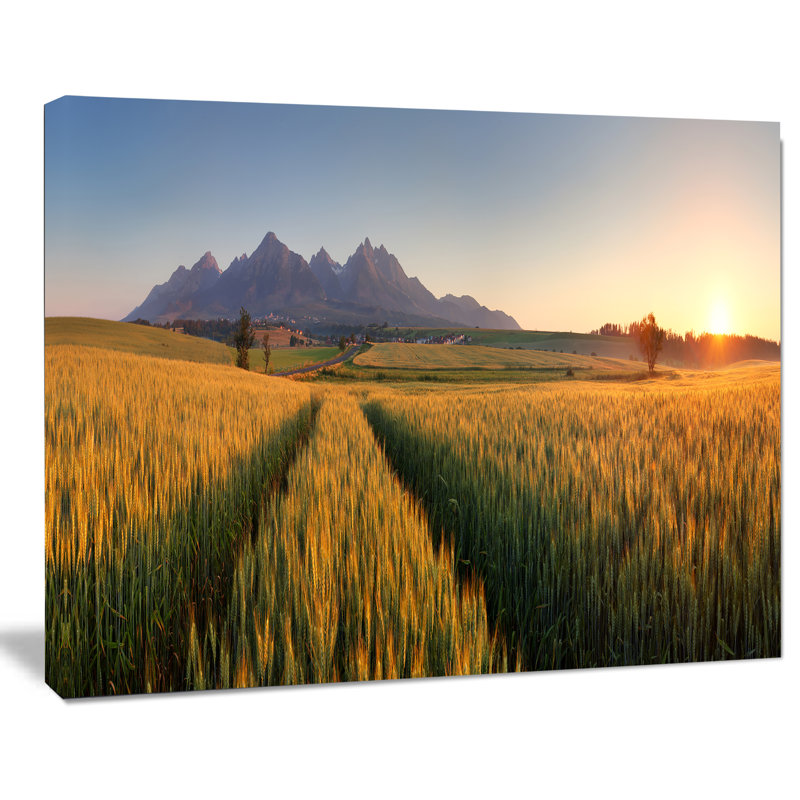«Summer Wheat Fields Slovaque», reproduction de photo sur toile tendue, H 20 po x l 20 po x P 1 po