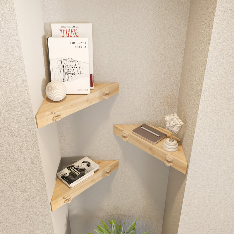 Nechelle 3 Piece Triangle Corner Shelf