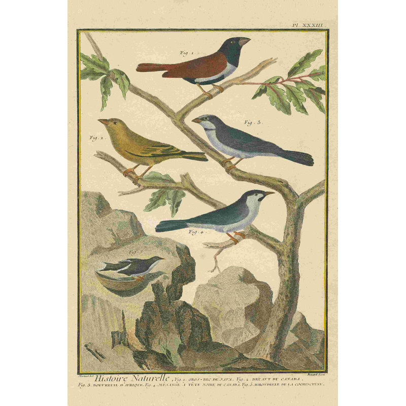 «Bird Dessin IV» par Wild Apple Portfolio - impression sur toile tendue, L 12 po x H 18 po