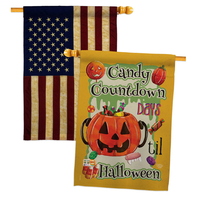 Double Sided 40'' H x 28'' W Polyester Halloween House Flag