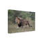 Art sur toile, "Bob Bob Langrish"-104137160