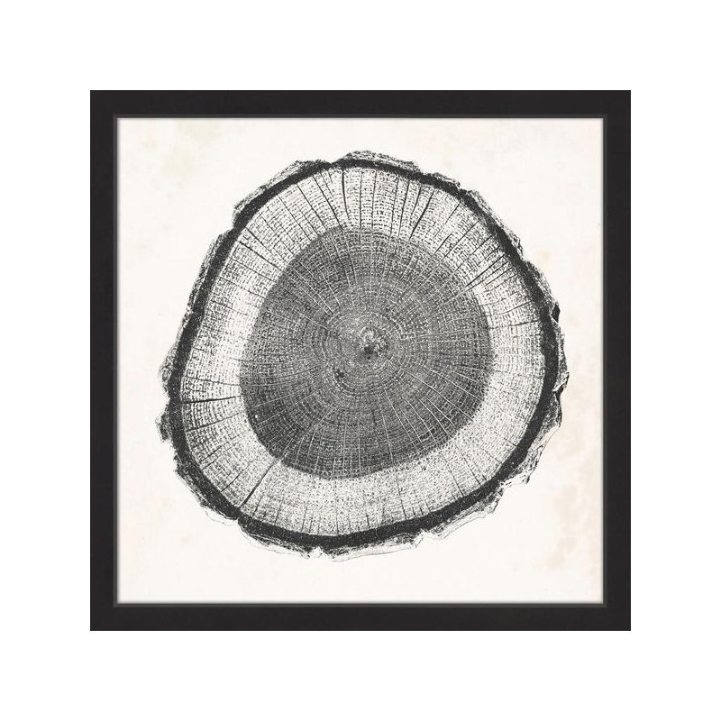 Single Picture Frame Print, 41cm H x 41cm W