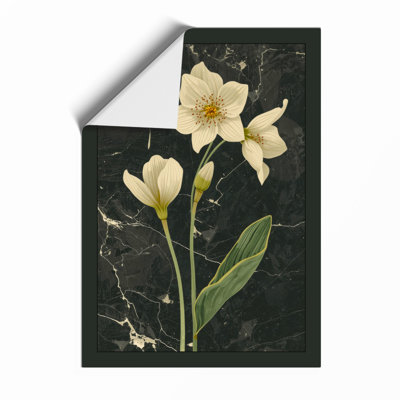 Daffodils on Stone Botanical - Framed Print