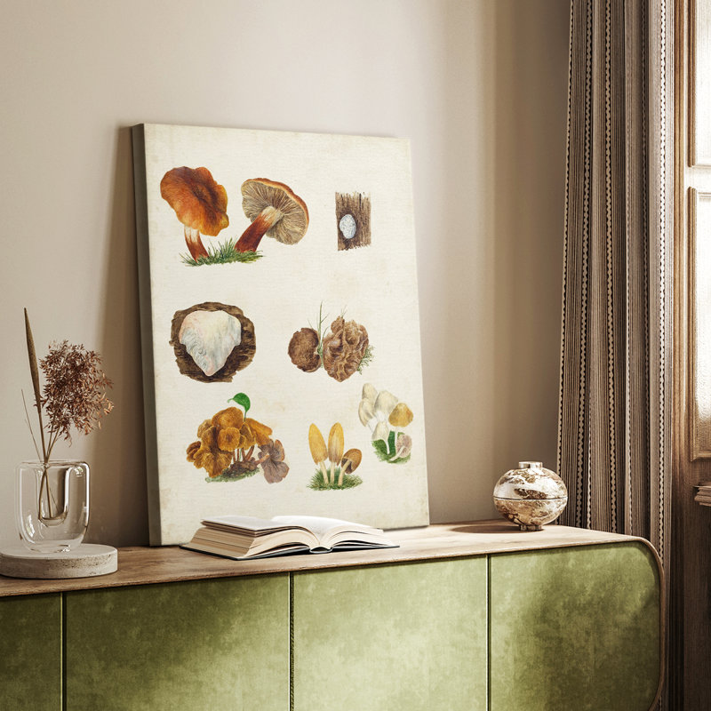 Espèces de champignons I - galerie sur mesure, H 12 po x l 8 po