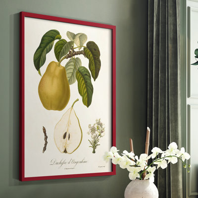 Vintage Pears I, reproduction encadrée - bois massif