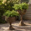 Ensemble de 2 pots à fleurs sur pied en métal bronze antique