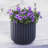 Allenville Fiberstone Plant Pot-394697154-394635596