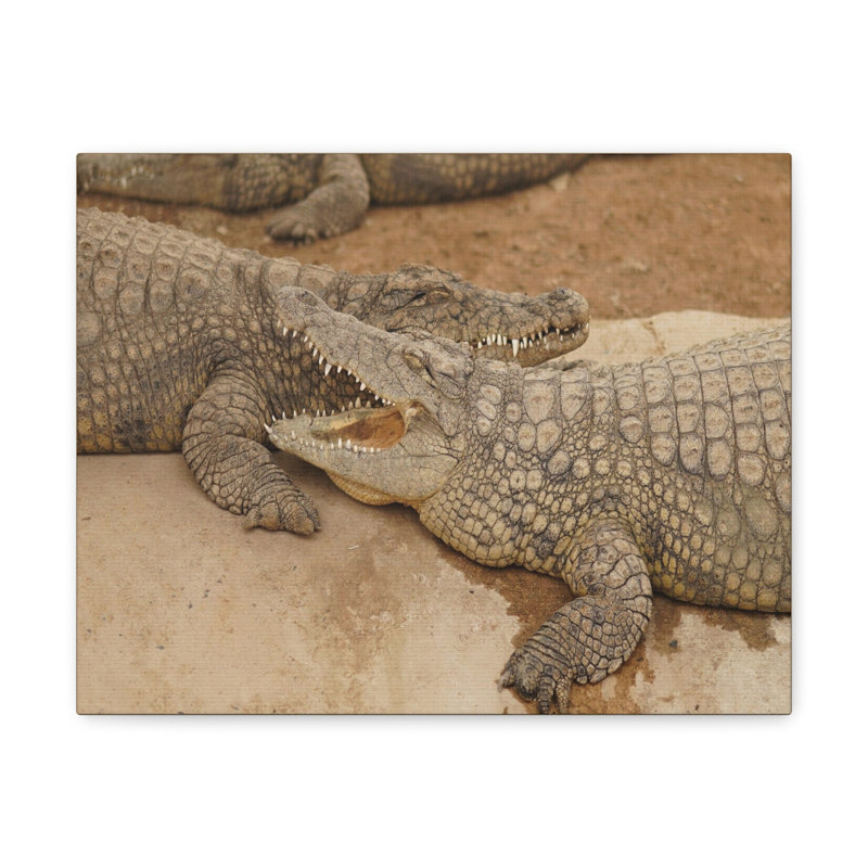 No Frame Print on Canvas, 45.72cm H x 60.96cm W