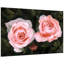 «Ethereal Roses I»