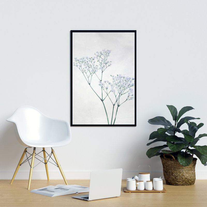 " Baby's-breath Flowers "