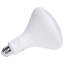 11 Watt LED Bulb
