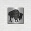 «Buffalo In Black» par Cindy Jacobs-668915602