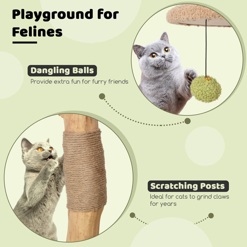 43 Inch Green and Beige Wooden Cat Tree with Perch and Condo