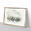 Moody Forest in Misurina Italy - Picture Frame Graphic Art Print-55732248-55732253