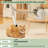 5-in-1 Multifunctional Pet Grooming & Vacuum Suction Kit