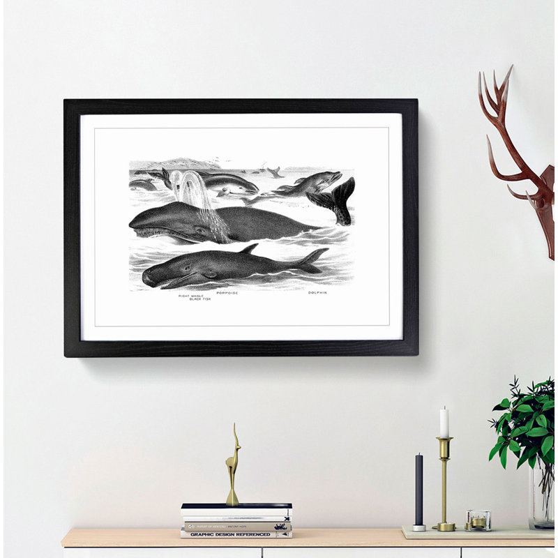 Whales & Dolphins by John Karst - Framed Print, 27cm H x 36cm W x 2cm D, Black Framed