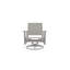 Wexler Outdoor Swivel Lounge Chair-1099678799-1102391101