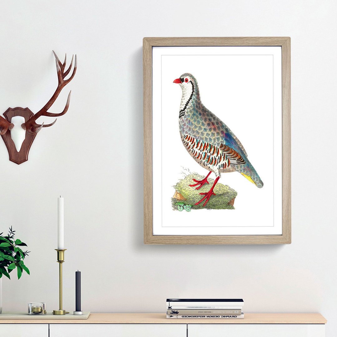 Red Partridge by George Shaw - Framed Print