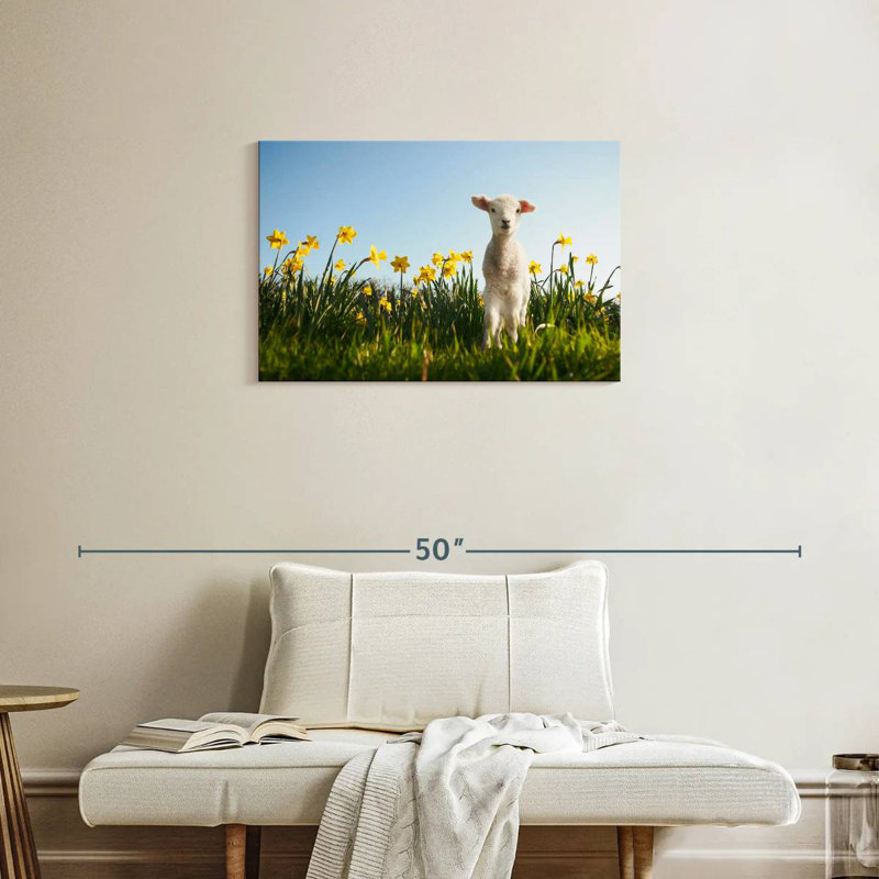 Brampt Springtime Lamb, 20" H x 30" W