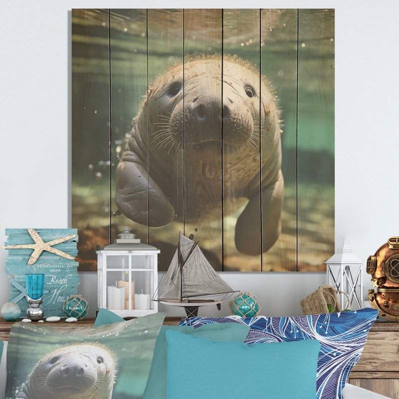Curious Manatee Gaze II - Lamantin sur bois, H 15 po x l 15 po