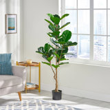 Achilles 58.93'' Faux Fiddle Leaf Fig Tree in Pot