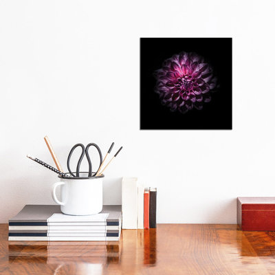 Purple Dahlia by Brian Carson - Wrapped Canvas Print