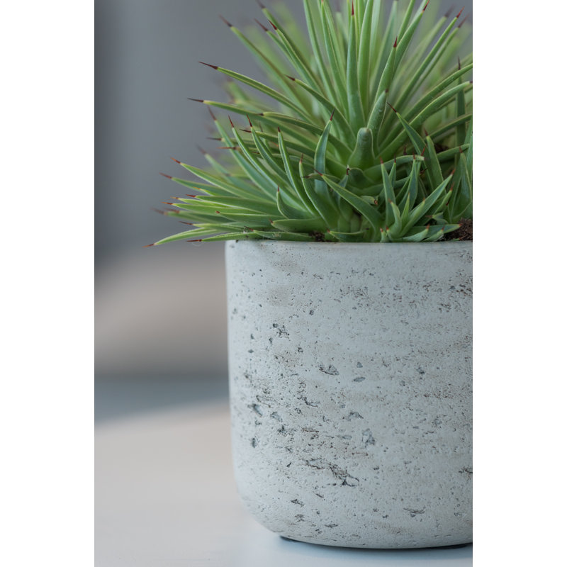 Bohemian Pots Handmade Fiberstone Planter, 6" H x 6" W x 6" D