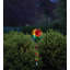 Lanterne de jardin 28,5 "multicolore à énergie solaire-92617229