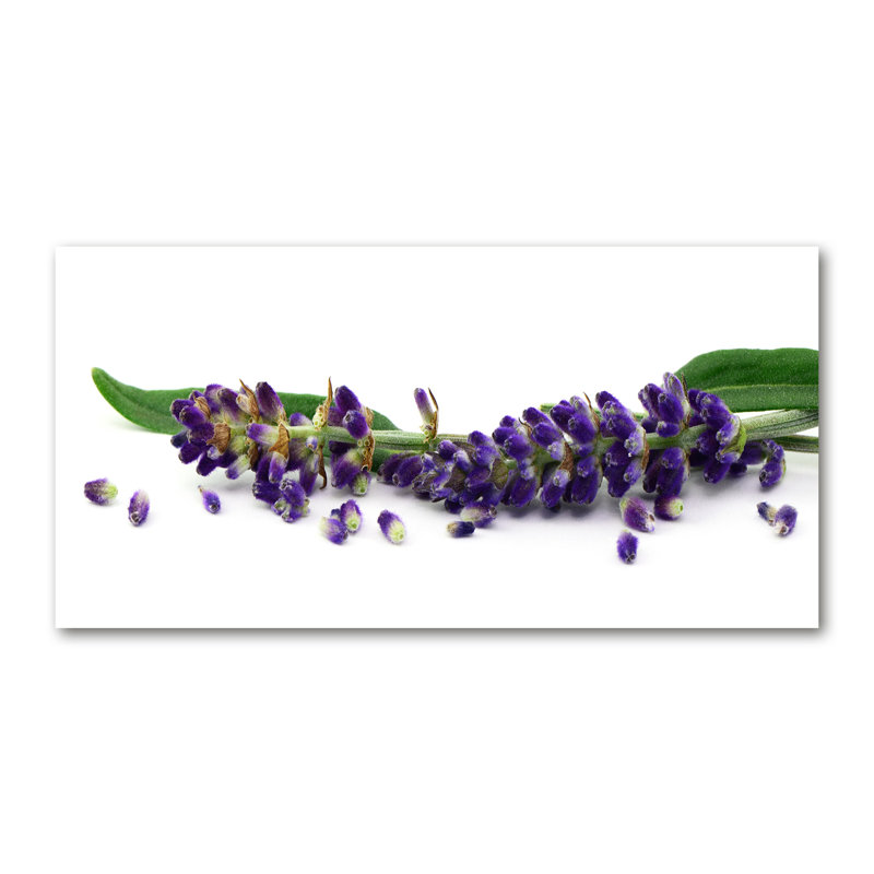 Lavender - No Frame Print on Canvas