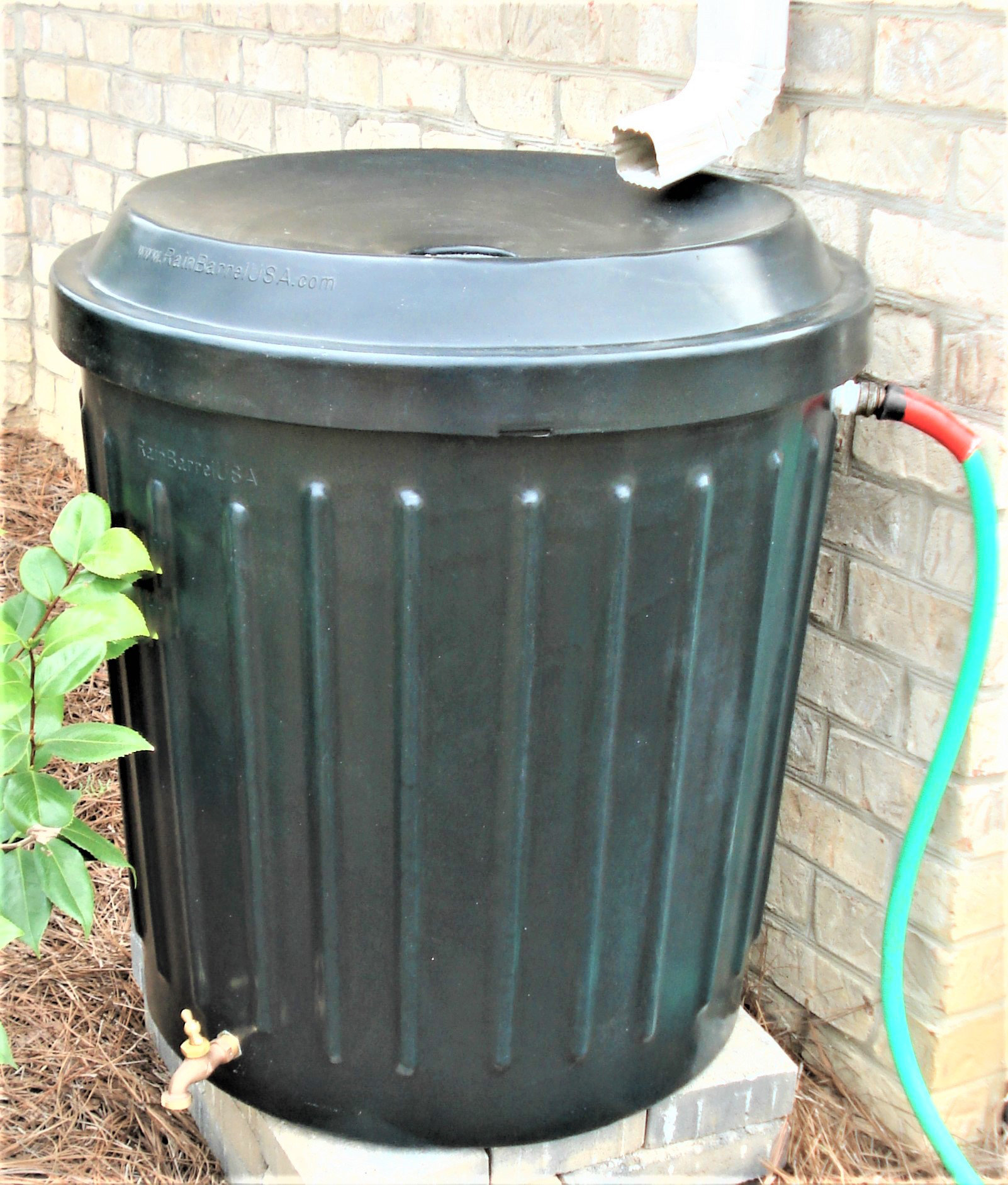 RainBarrelUSA RainBarrel USA 60 Gallons Weather Resistant Plastic