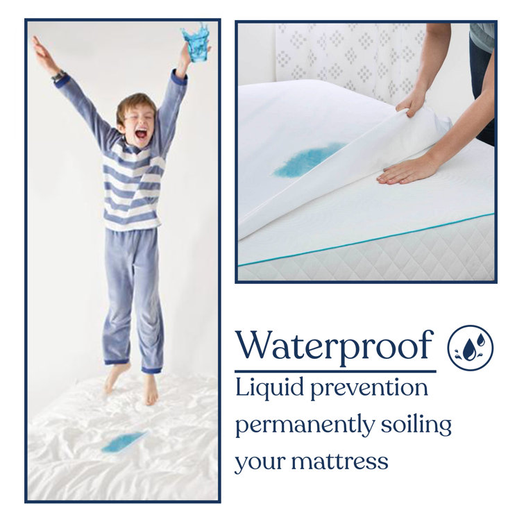 Waterproof Organic Mattress Protector - GOTS Certified – Whisper