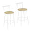 Counter Stool-2027129625
