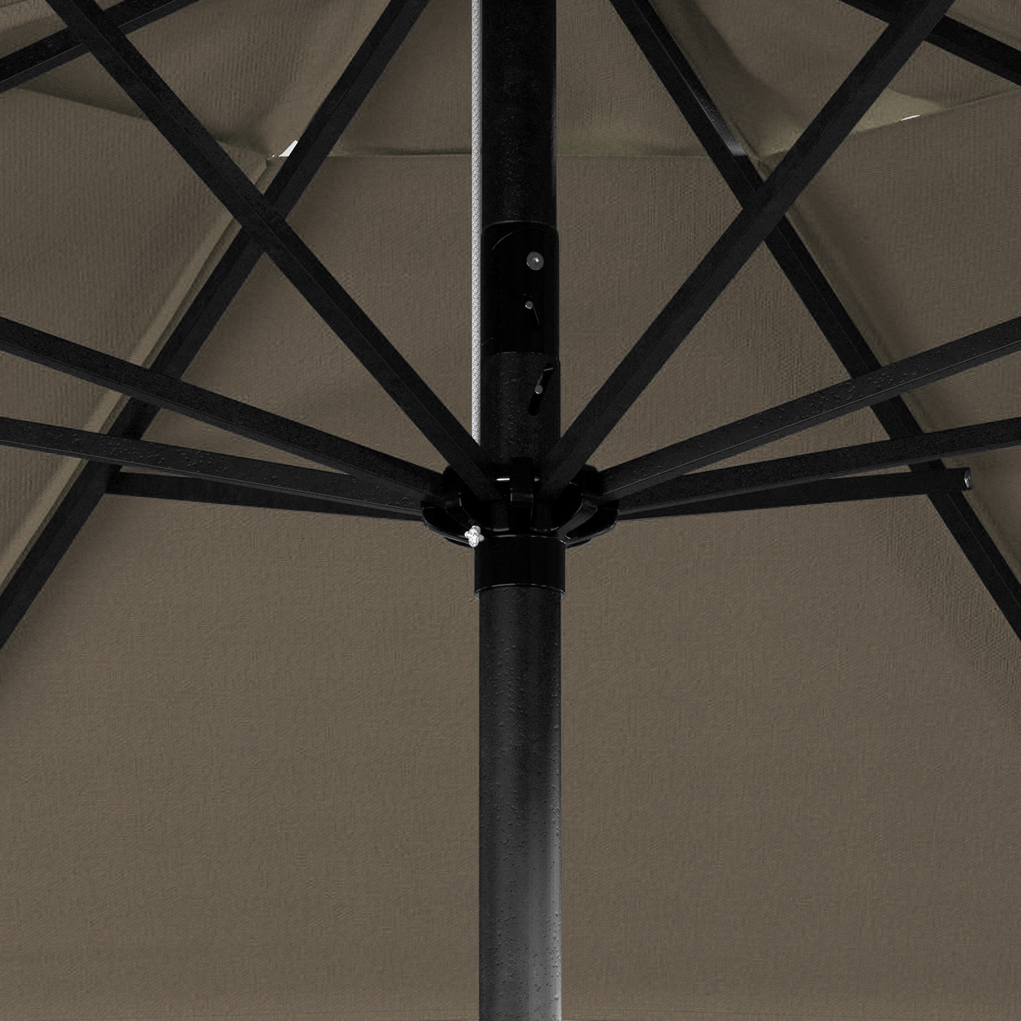 Marilee 86.3'' Sunbrella® Outdoor Umbrella, Spectrum Dove Sunbrella® Plainweave
