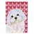 Bichon maltais 2