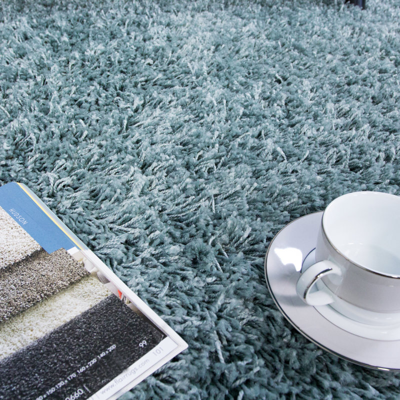 Esterly Shaggy Duck Egg Blue Rug, Rectangle 80 x 150cm