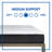 Sealy to Go 12” Medium Memory Foam Mattress in a Box-32003576