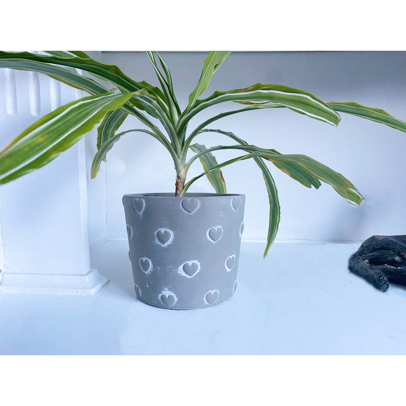 Riaria Planter Box, 12cm H x 14.5cm W x 14.5cm D