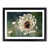 Black Framed selected