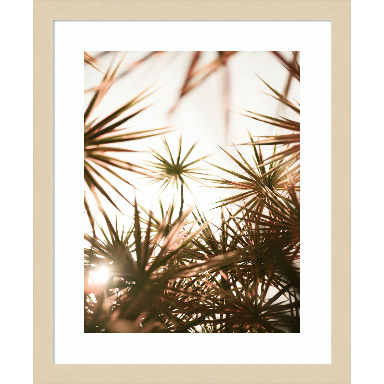 Starlight Through Palms by Daisey Wood Framed Wall Art Print, 17" H x 14" W, Brown 