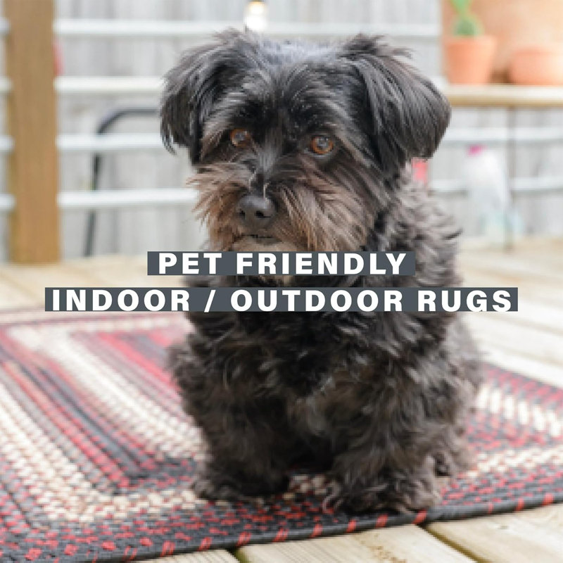 Kerney Braided Rug Washable Indoor/Outdoor Gray/Cream/Black/Red Rug, Oval 2'3" x 3'9"