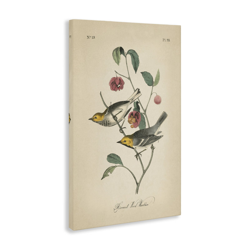 Art mural rétro sur toile "Warbler & Plants" par Wild Apple Portfolio, H 24 po x l 16 po