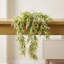 80cm Faux Plant-127681154