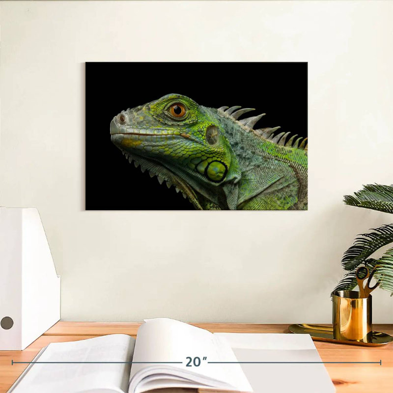 Tête d'iguane verte, H 8 po x l 12 po